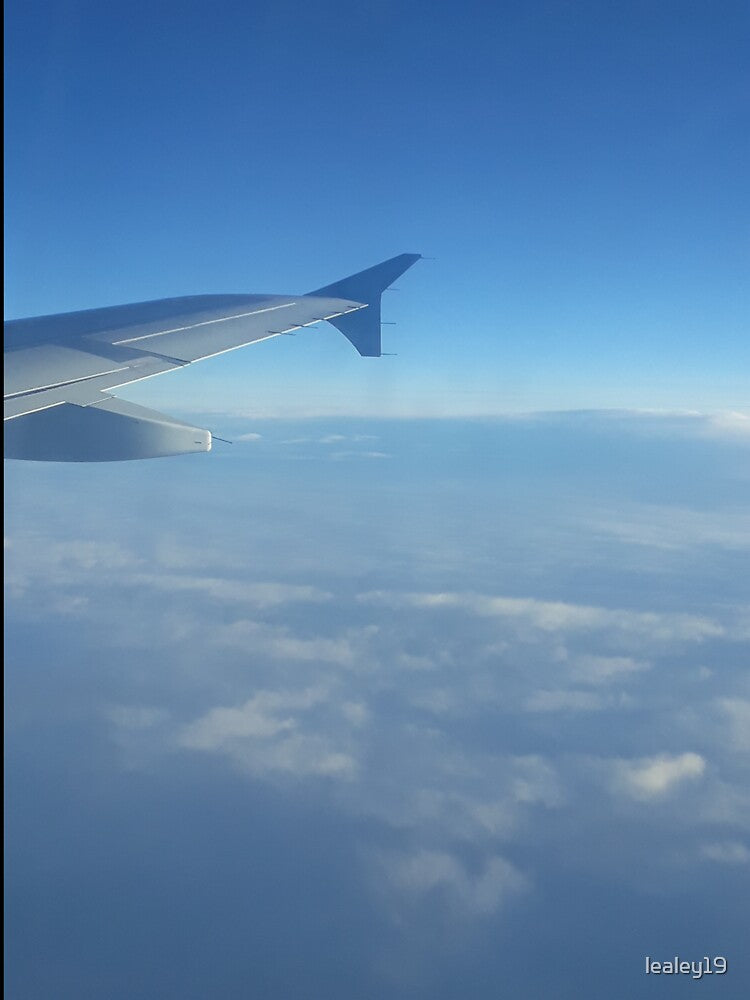 sunrise in the sky,view from the window of a plain by lealey19