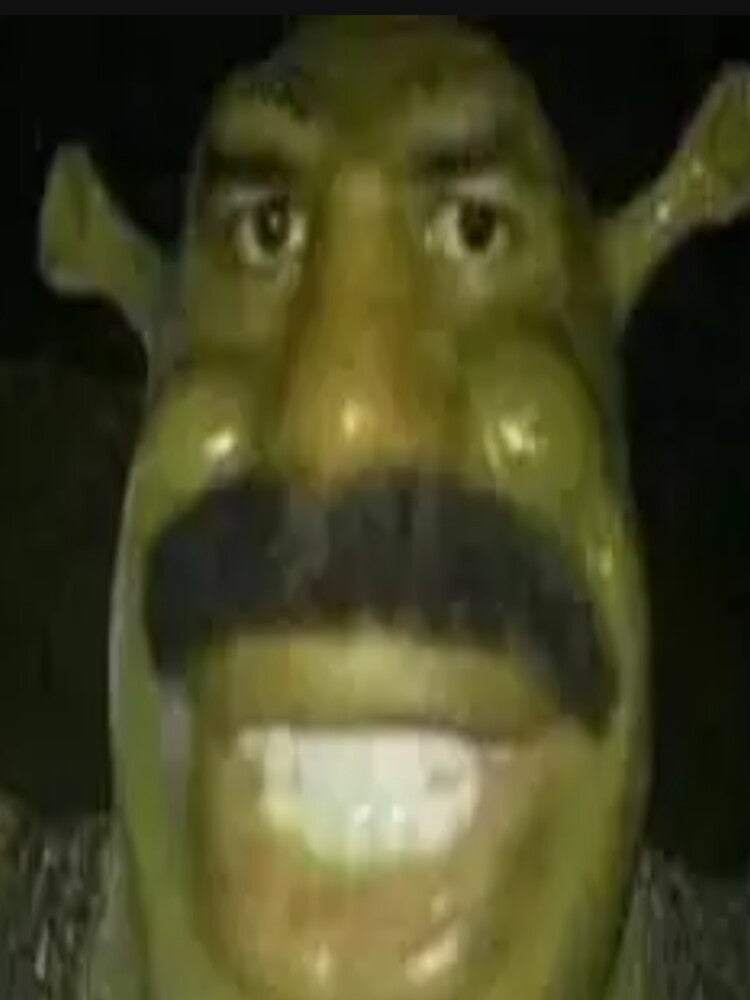 Goofy Ah Shrek by Lghomm