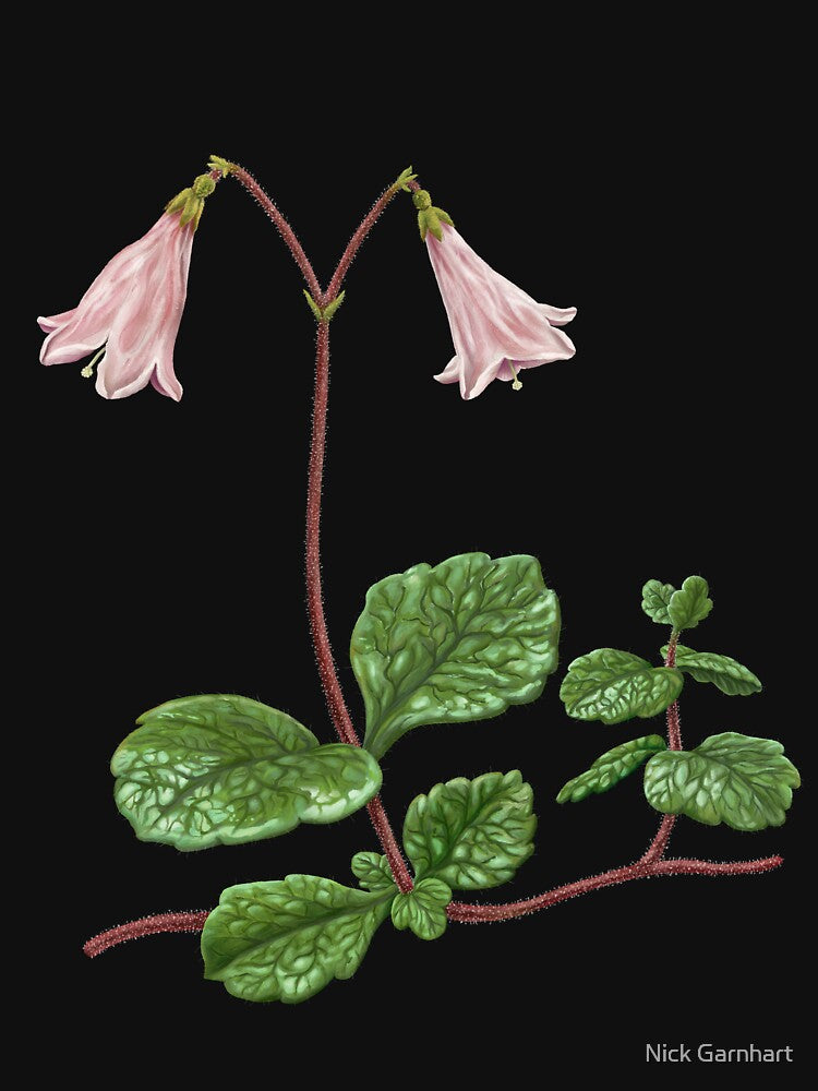 Western Twinflower by Nick Garnhart