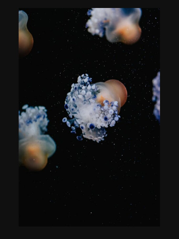 *****Beneath the Ocean's Eye******** by nanyavig
