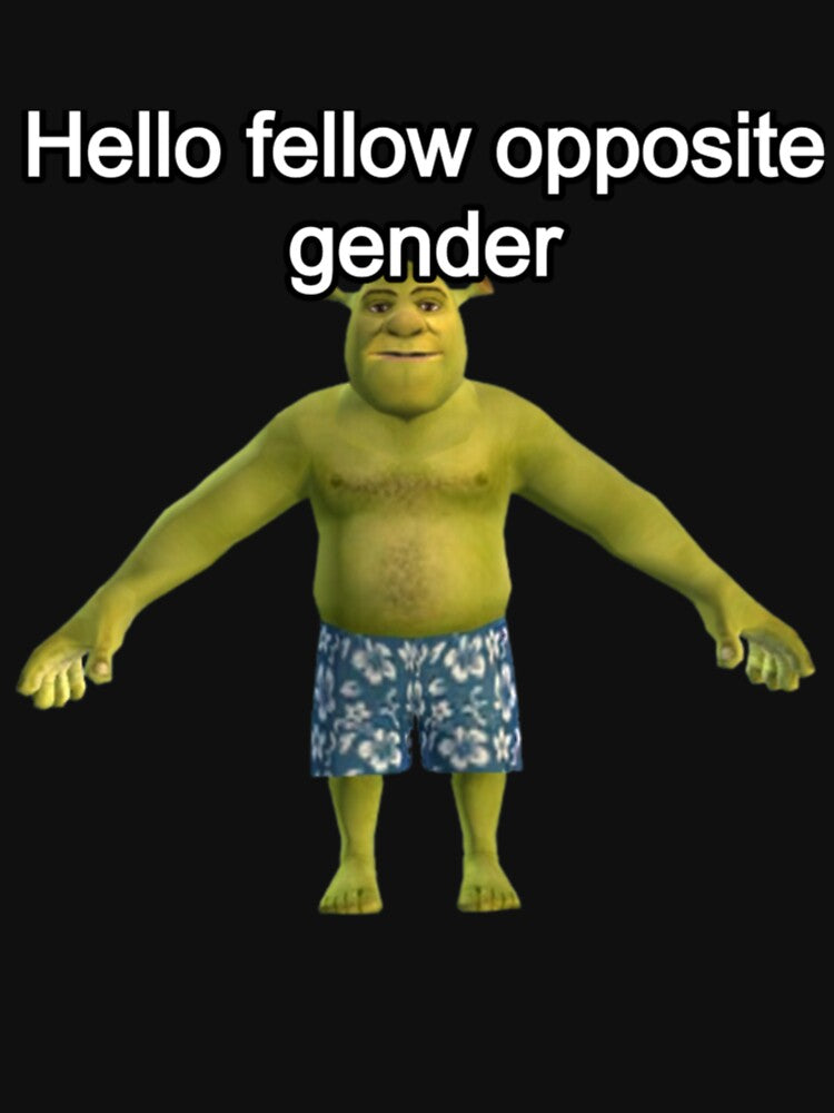 Hello fellow opposite gender meme by RowanytoDuane