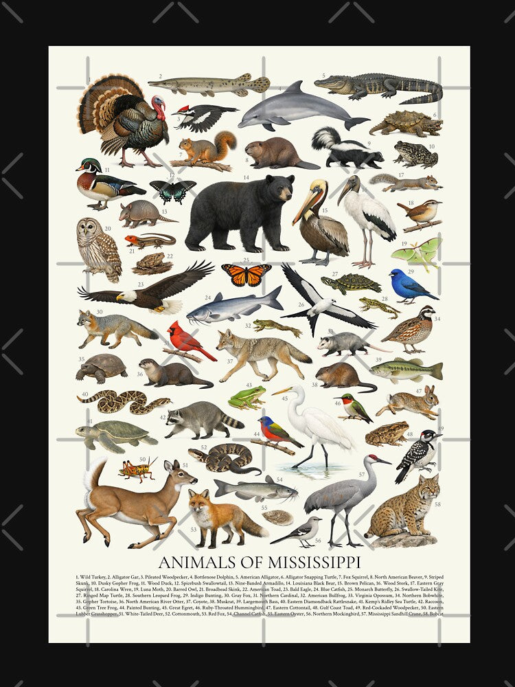 Animals of Mississippi Retro Style Identification Chart by kakarikihill