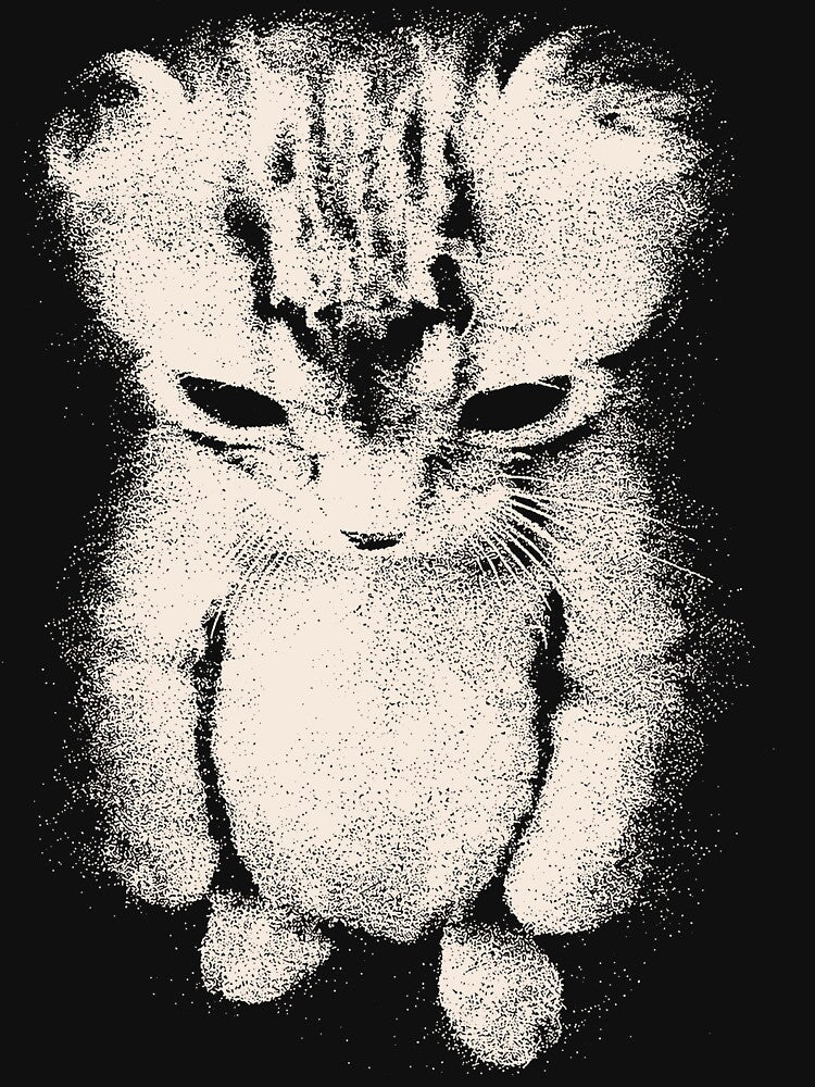 Sad Kitten Meme Standing Cat by RandyHaskins