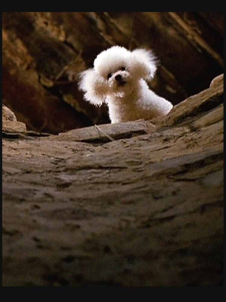 THE SILENCE OF THE LAMBS DOG PRECIOUS by AtanacioBridget