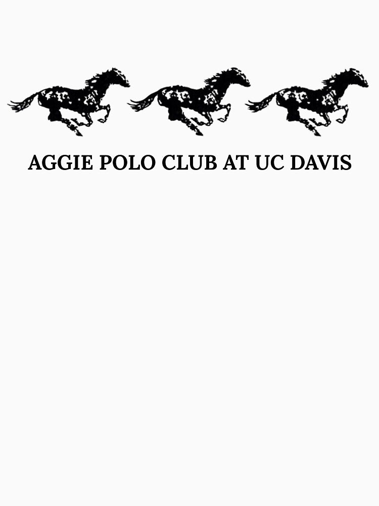 Wild Horses Print by Aggie Polo Club at UC Davis