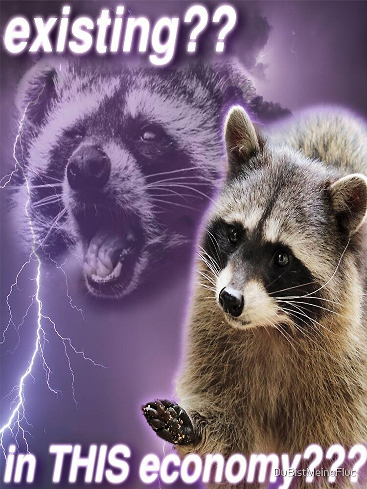 Existing?? In this economy??? - funny raccoon quotes by DuBistMeineFluc