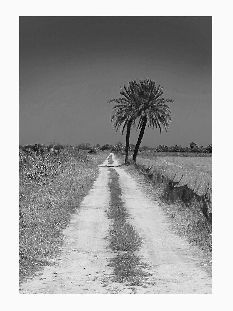 Plains path. by Paul Pasco