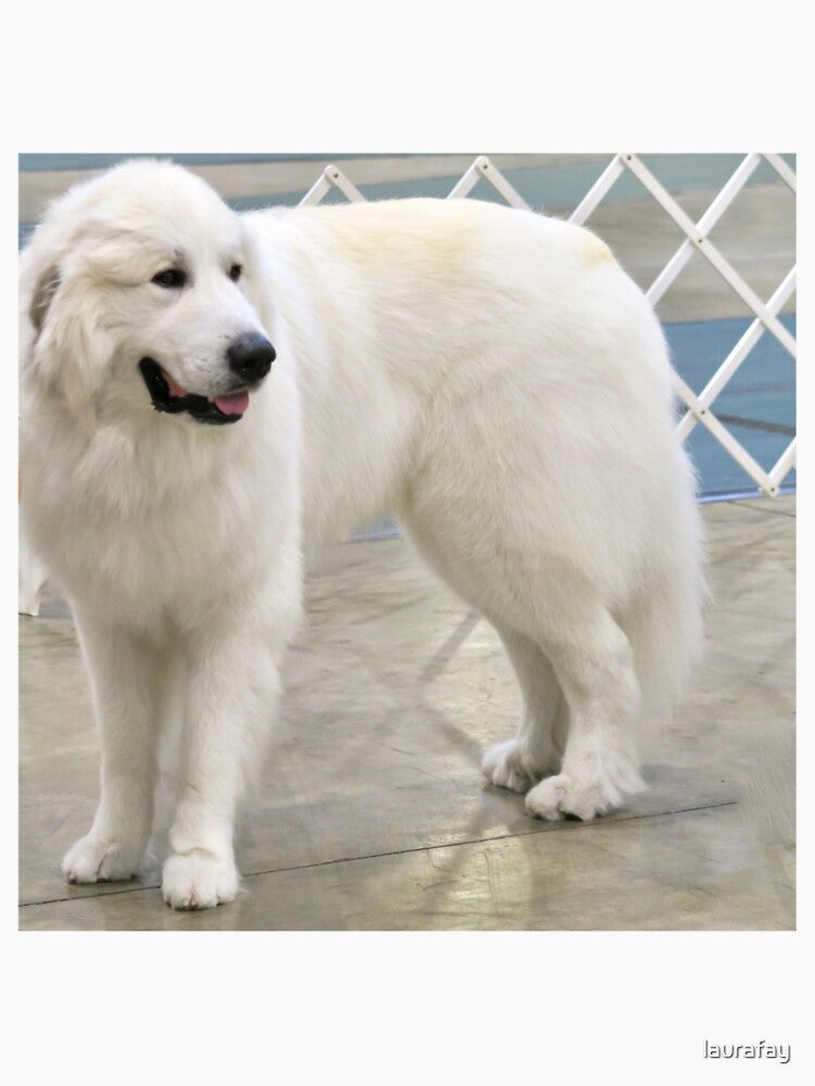 Great Pyrenees by laurafay