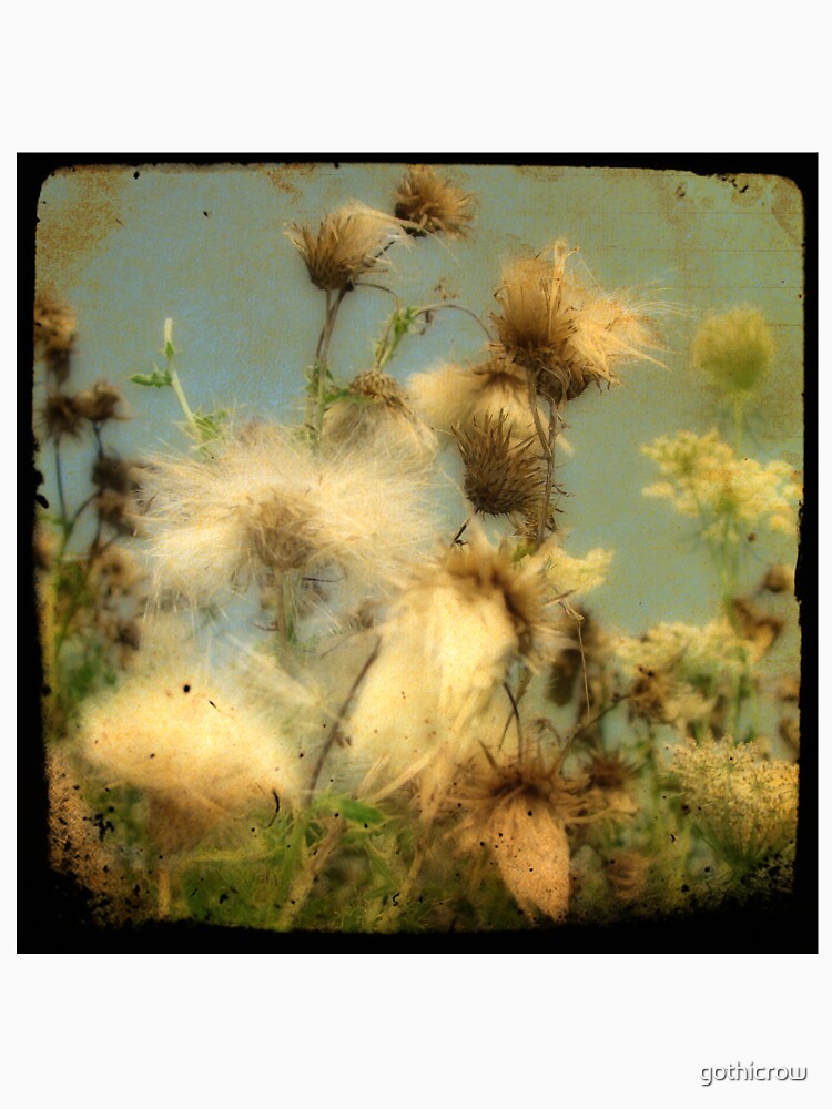Wind Blown by gothicrow