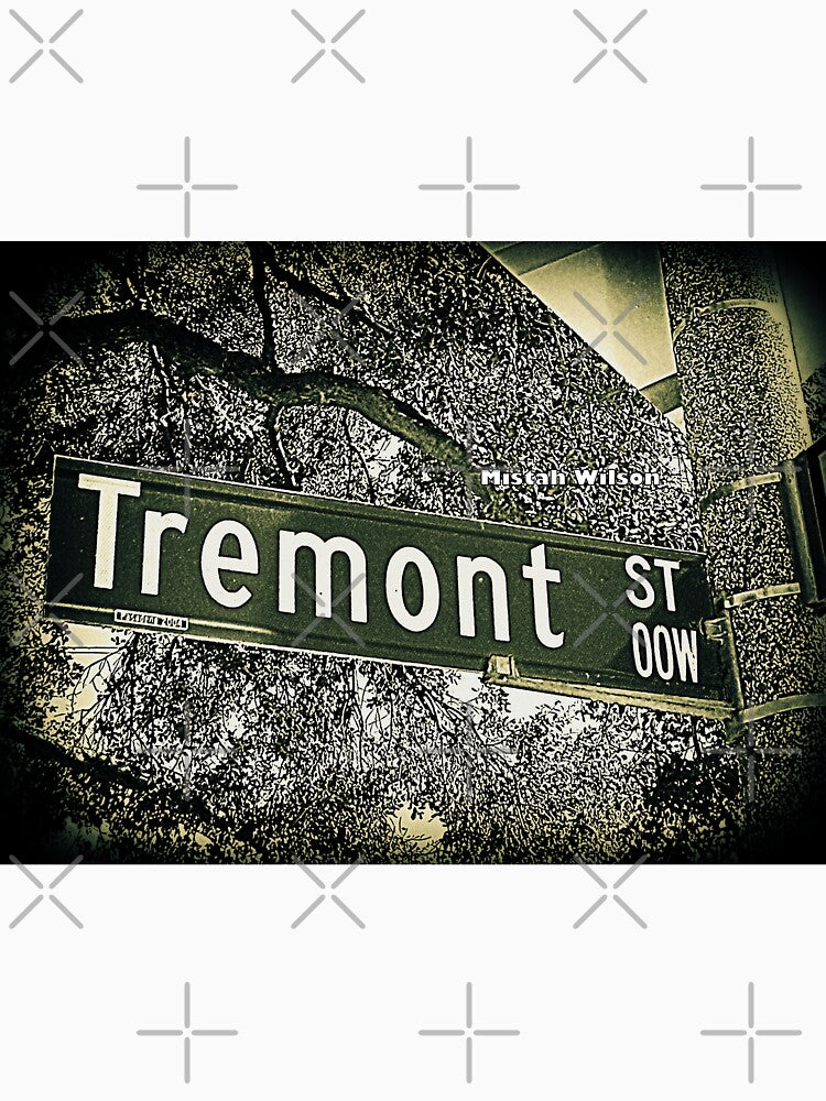 Tremont Street, Pasadena, CA by Mistah Wilson by The Street Sign Store