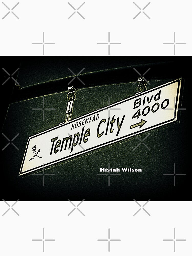 Temple City Boulevard, Rosemead, CA by Mistah Wilson by The Street Sign Store
