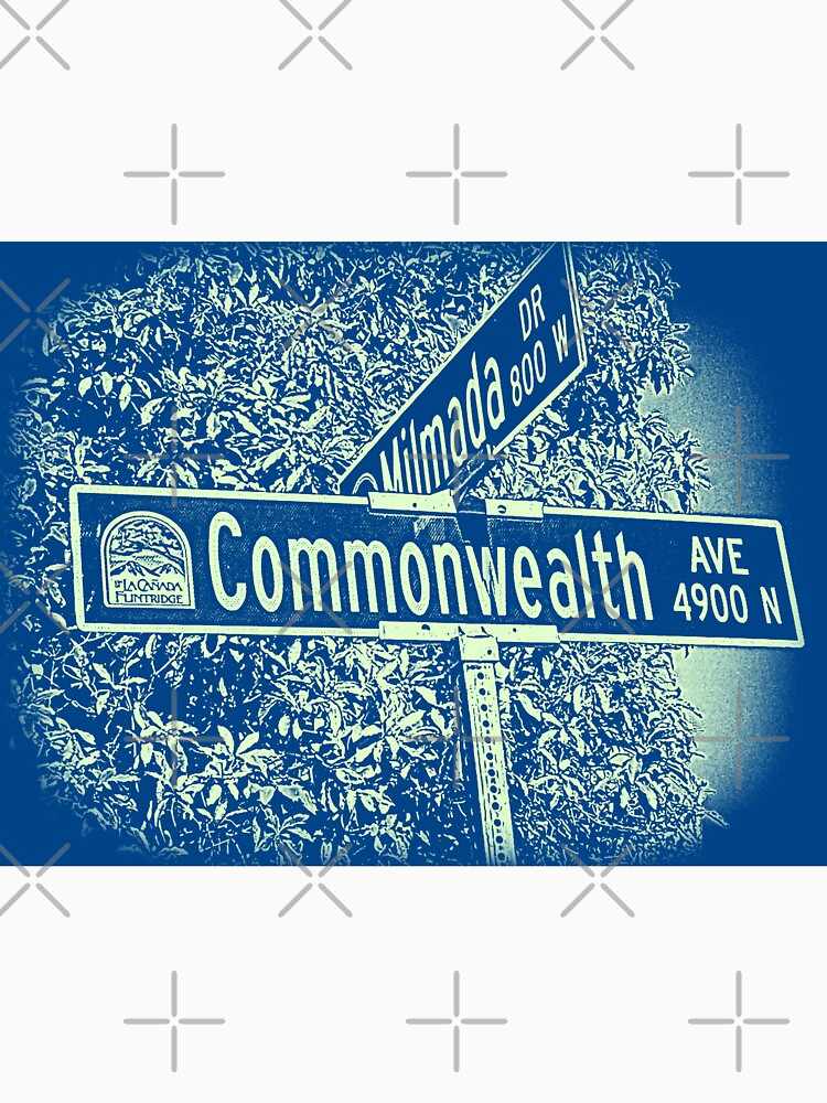 Commonwealth Avenue, La Cañada Flintridge, CA by Mistah Wilson by The Street Sign Store
