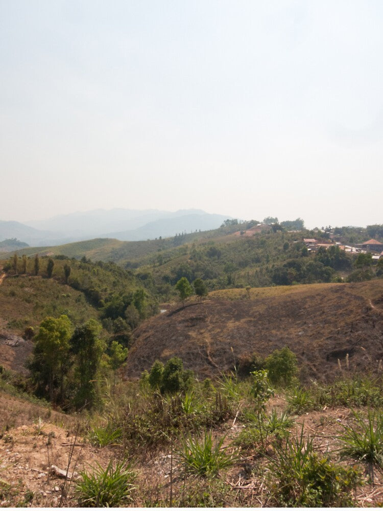 On The Road To The Plain Of Jars by Mark Prior