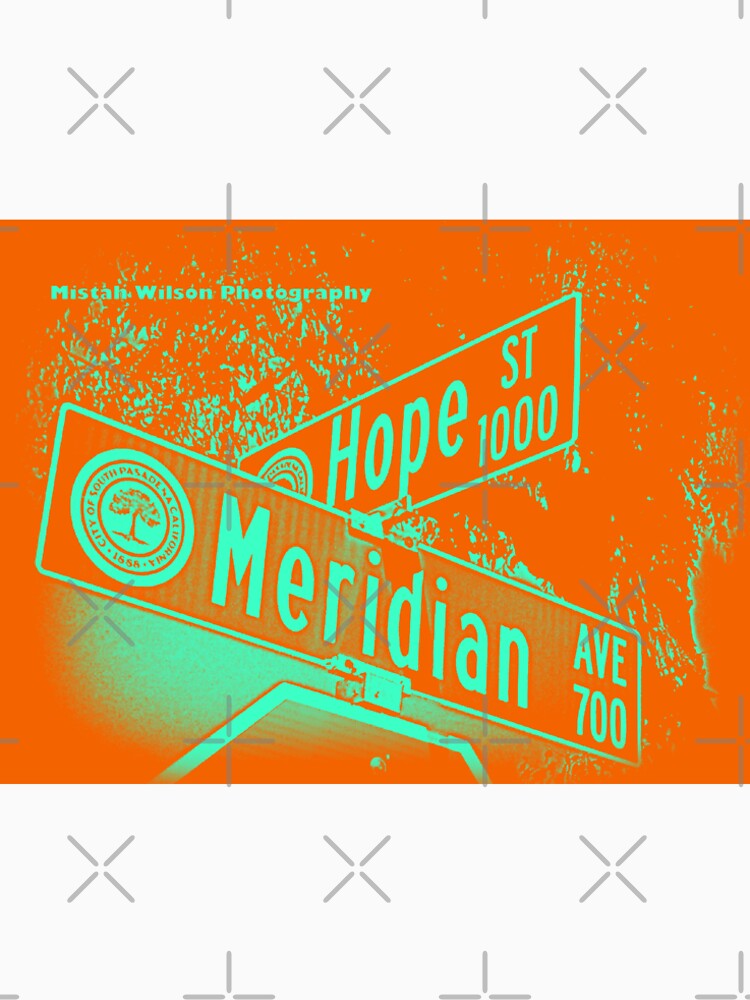 Meridian Avenue & Hope Street, South Pasadena, CA by Mistah Wilson by The Street Sign Store