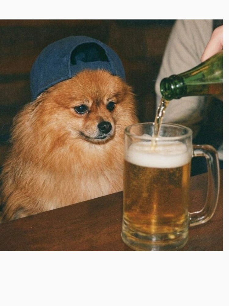 Funny Pomeranian Drinking Beer by ascribbler19