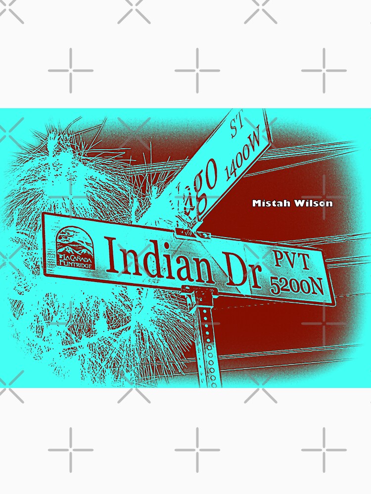 Indian Drive (Private), La Cañada Flintridge, CA by Mistah Wilson by The Street Sign Store