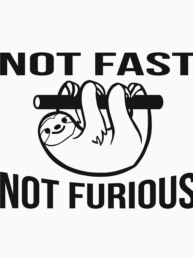 Not Fast, Not Furious sarcastic joke by RedYolk
