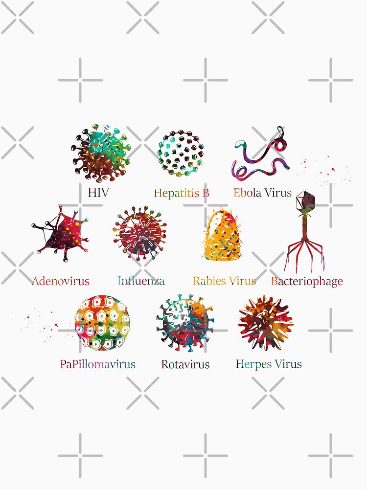 Diagram showing different kinds of viruses by Liededrom.