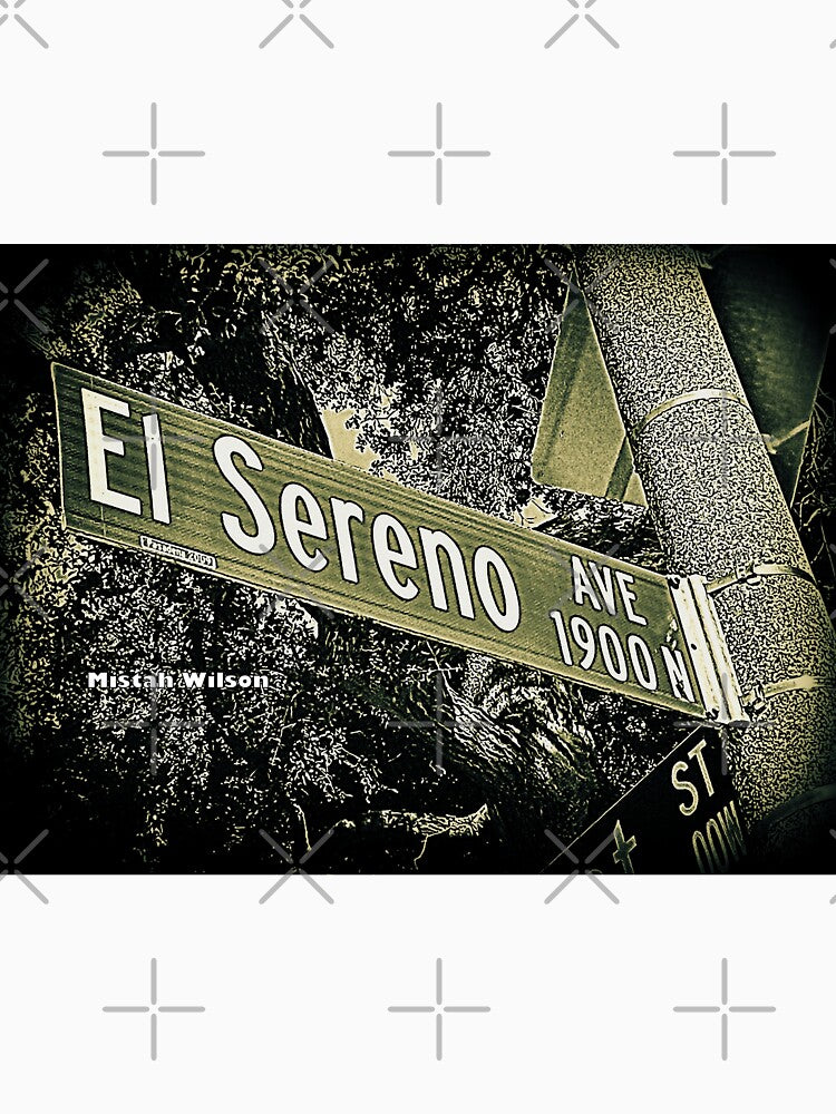 El Sereno Avenue, Pasadena, CA by Mistah Wilson by The Street Sign Store