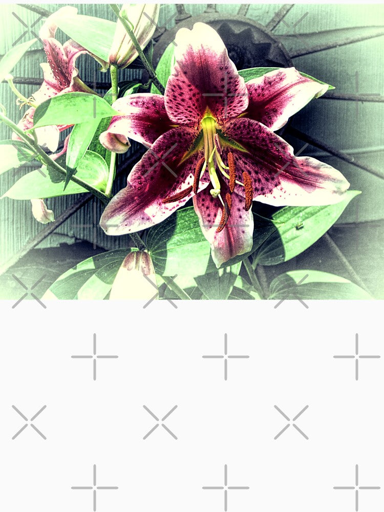 Pink Lily Flower Cottage Chic Modern Country Home Decor A419A by byNicol