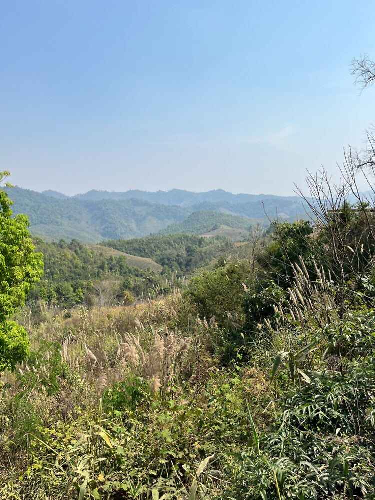 Roadside views on the road to the Plain of Jars by Mark Prior
