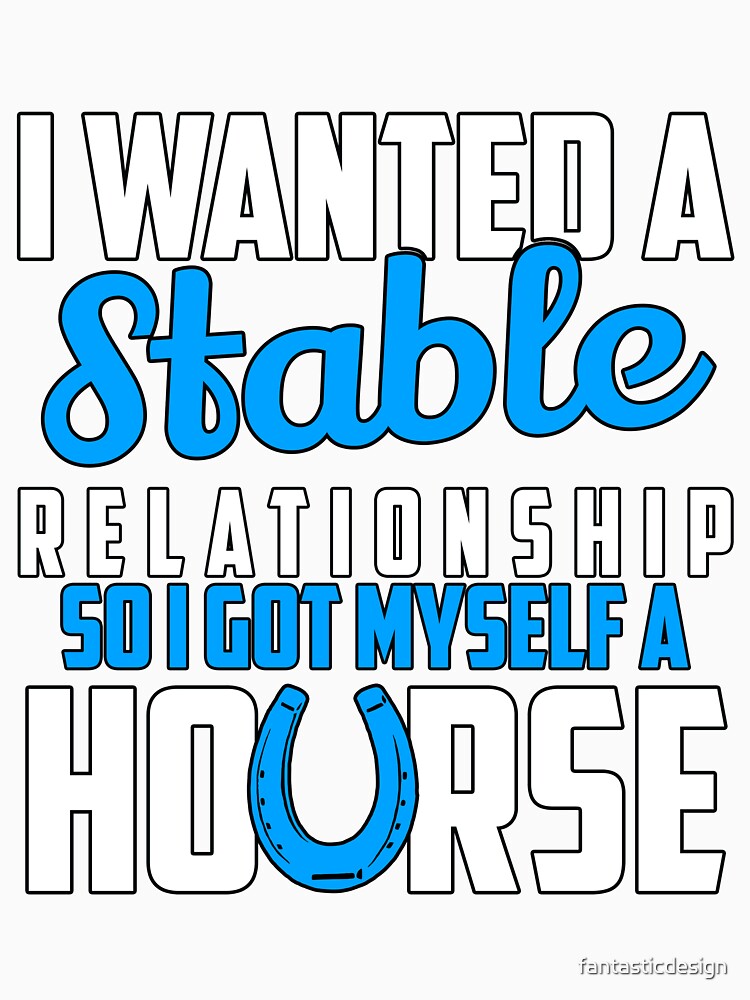 Funny Sarcastic Saying I Wanted A Stable Relationship by fantasticdesign