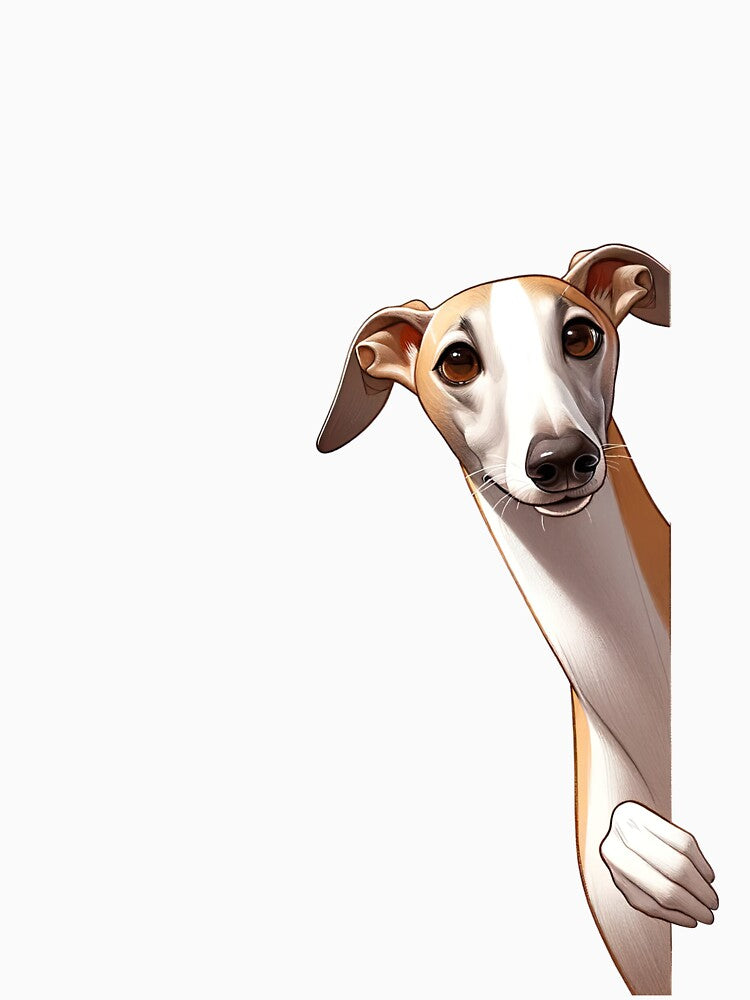 Peeking Greyhound - Black by FoxfireStardust