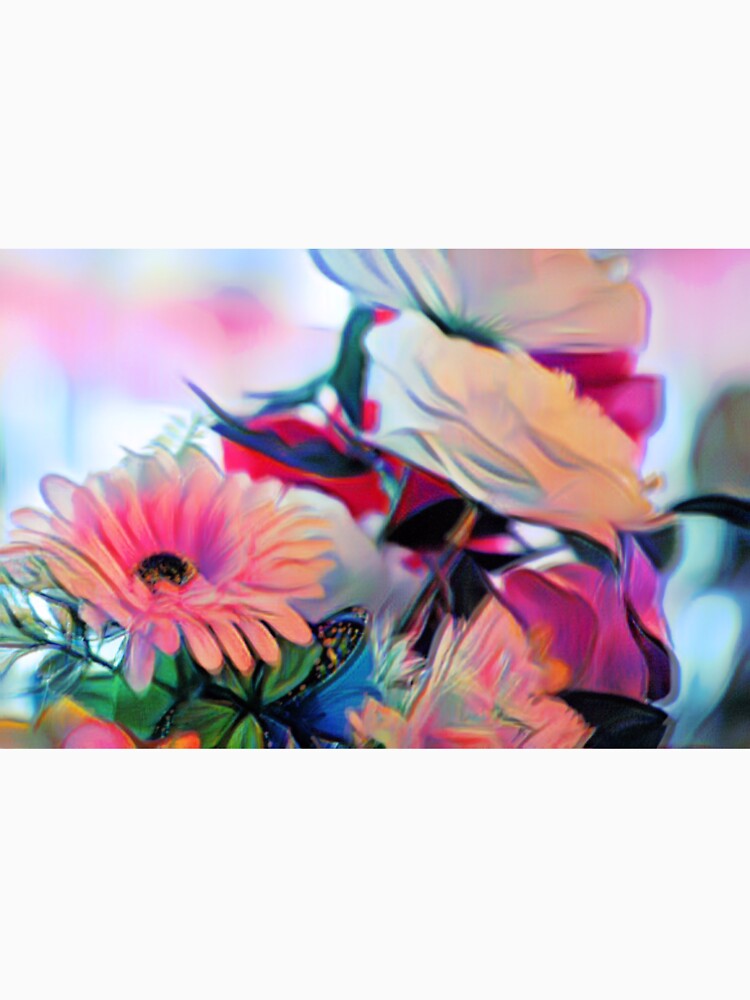 SOFT by BOLLA67