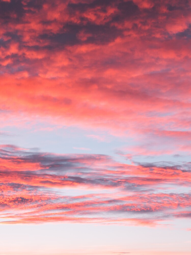 Beautiful Vibrant Pink Sunset Sky by newburyboutique