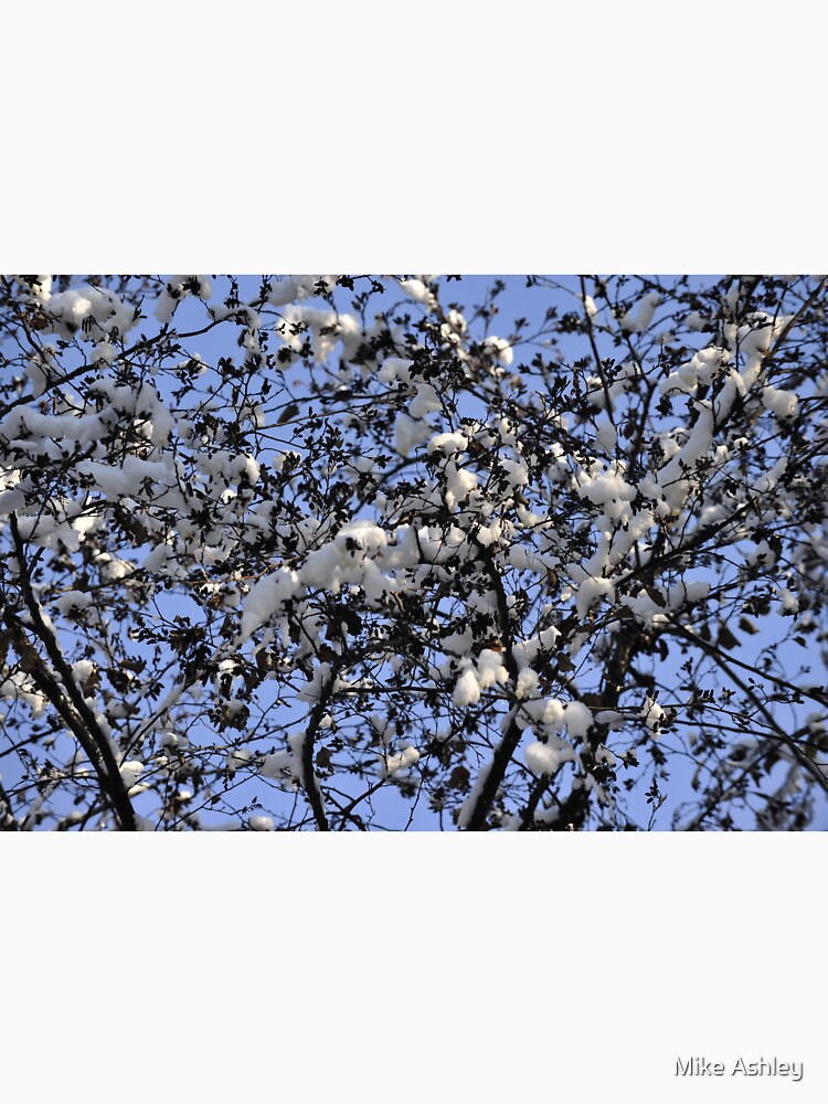 Cotton or Snow? by Mike Ashley