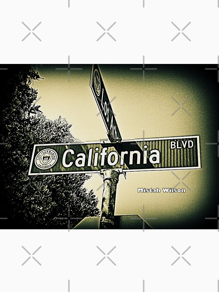 California Boulevard, San Marino, CA by Mistah Wilson by The Street Sign Store