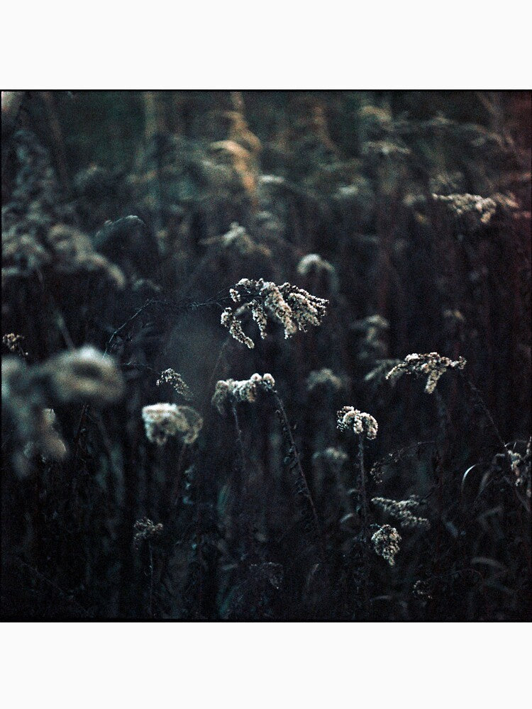 soft by 5letters