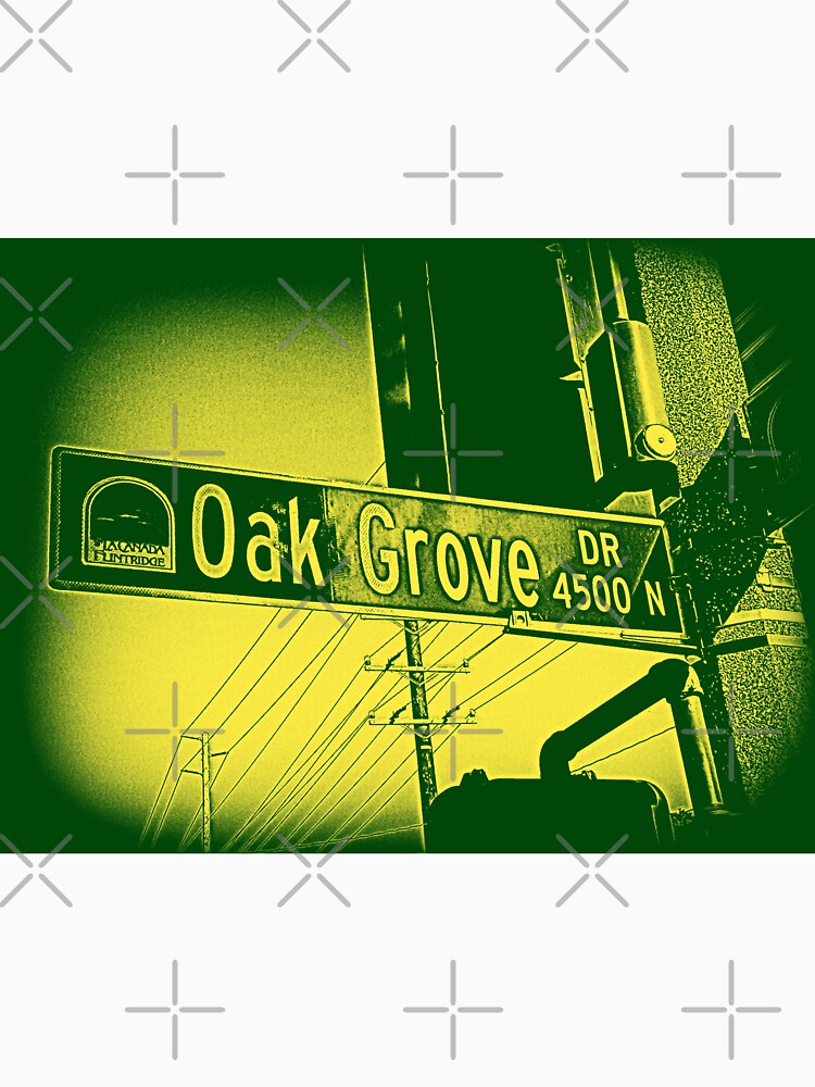 Oak Grove Drive, La Cañada Flintridge, CA by Mistah Wilson by The Street Sign Store