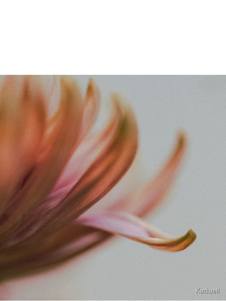 Waiting for You l Dahlia Photography by KEnzPhotography