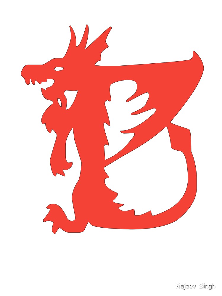Dragon Initial Monogram B by Rajeev  Singh