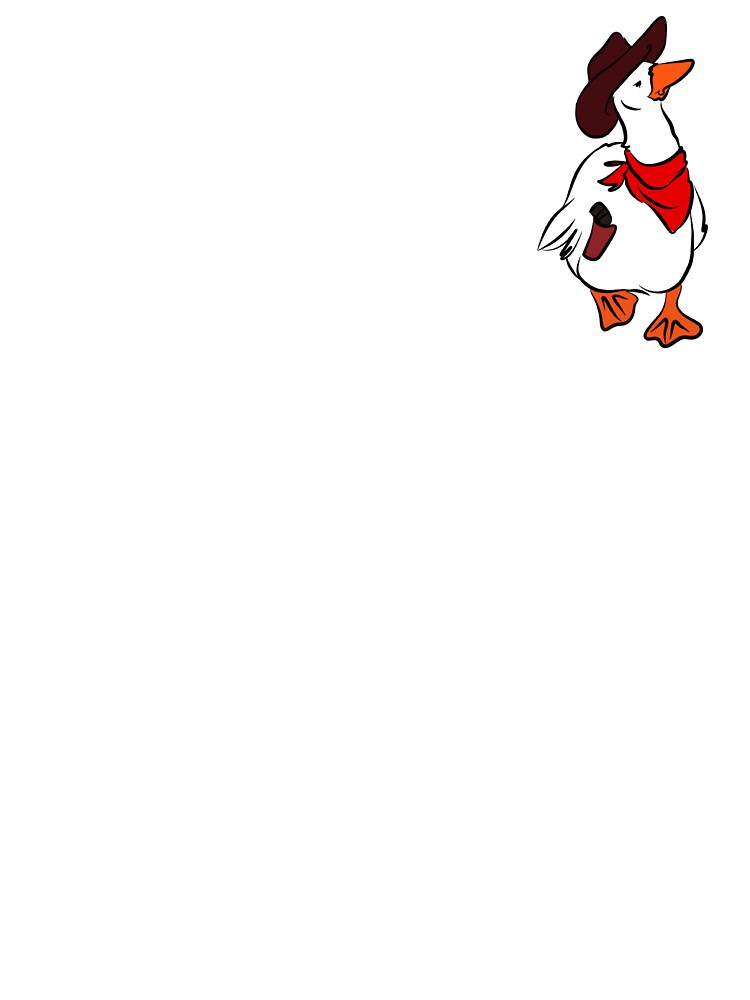 duck cowboy by Supipi Weerasinghe