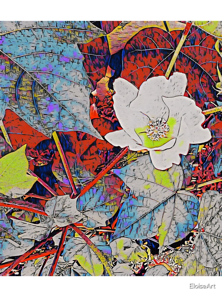 Colorful Cotton Blossom by EloiseArt