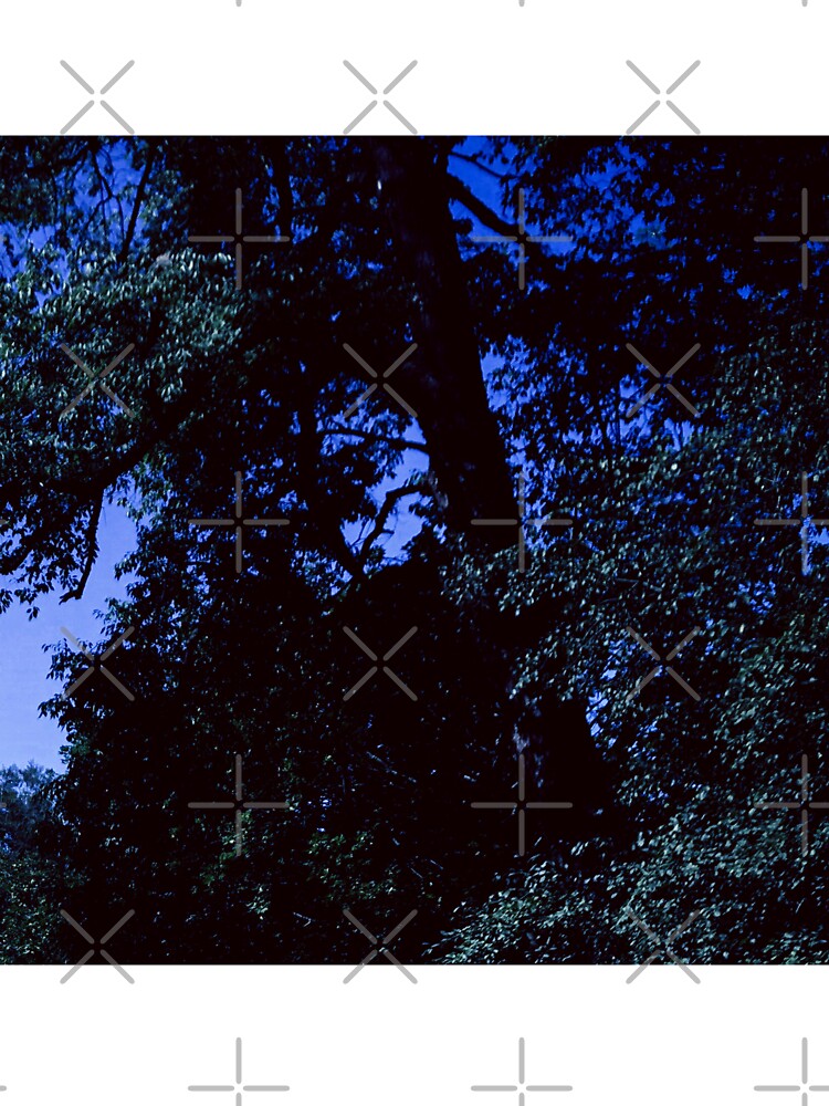 dazecore aesthetic blue sky dark by sielexis
