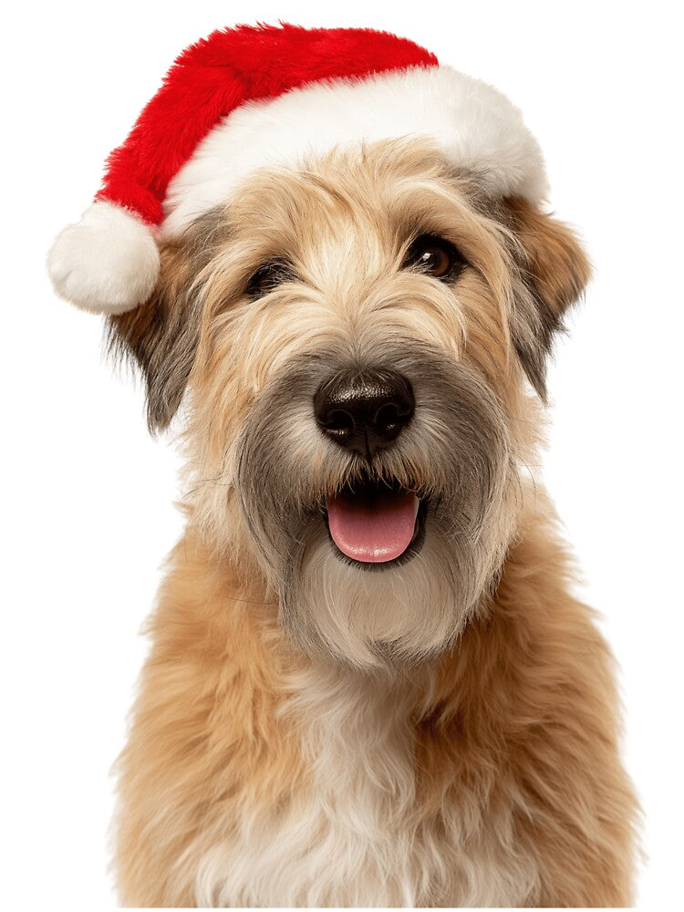 Soft Coated Wheaten Terrier with Christmas Hat – Festive Wheatie dog Xmas Design by LazyOwlStore