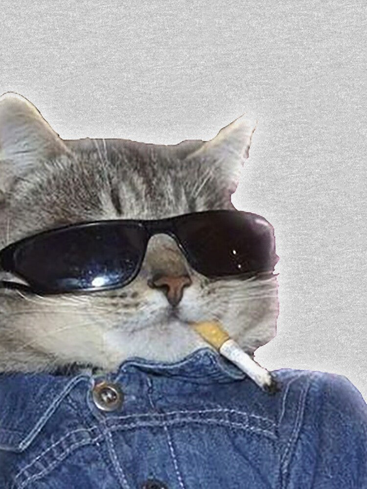 cat of smonk cig by theReagster