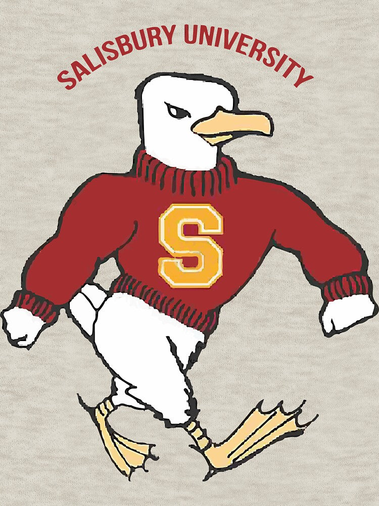 salisbury university by brindarouge
