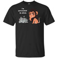 I’m Surrounded By idiots Lion King Shirt, Hoodie, Tank