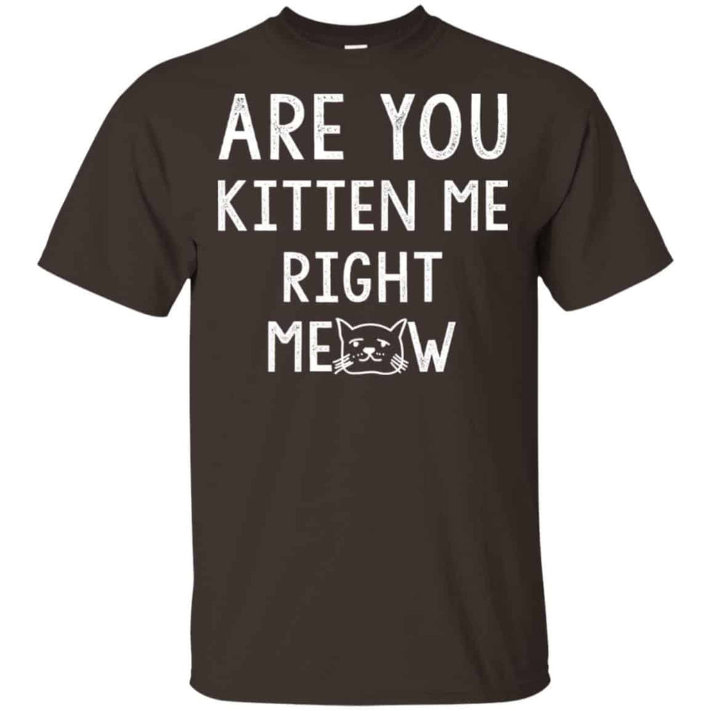 Are You Kitten Me Right Meow Shirt, Hoodie, Tank
