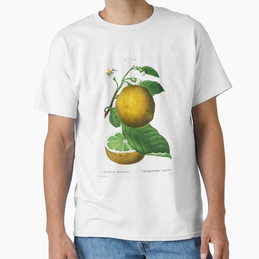 Retro Kitchen - Grapefruit by Inspirationmotivation