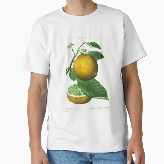 Retro Kitchen - Grapefruit by Inspirationmotivation