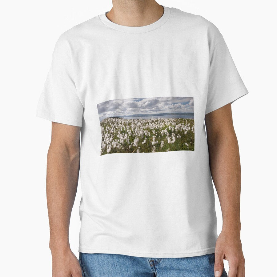 Bog Cotton on Binevenagh by Nigel R Bell Photography