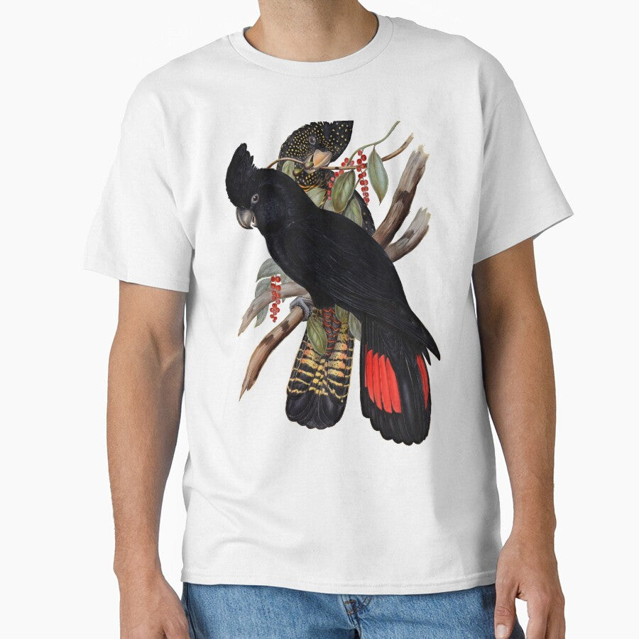 Red-tailed Black Cockatoo (Calyptorhynchus banksii) by John Gould by wildtribe