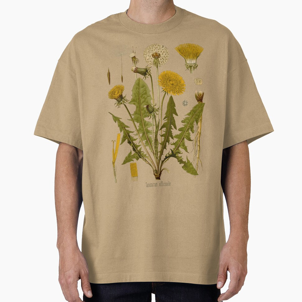 DANDELION Antique botanical illustration by FLIP-original