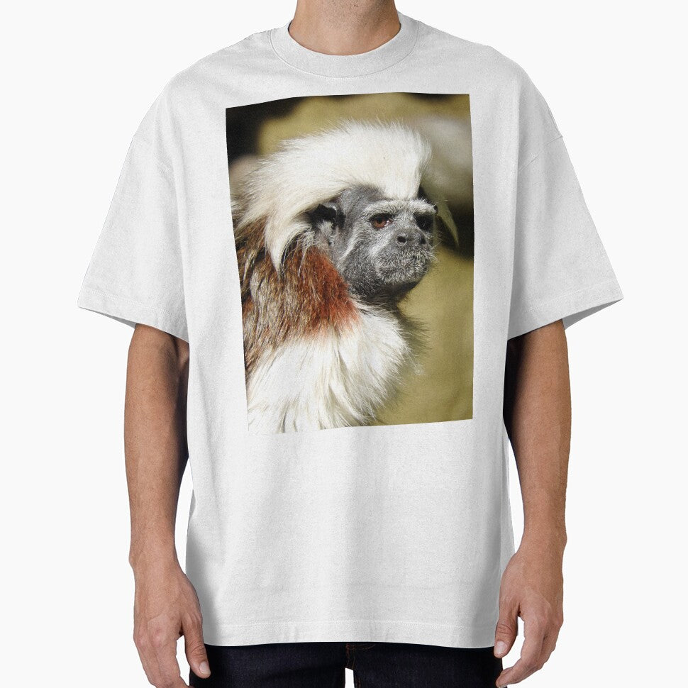 Cotton-top Tamarin by kirstybush