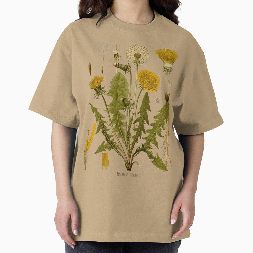 DANDELION Antique botanical illustration by FLIP-original